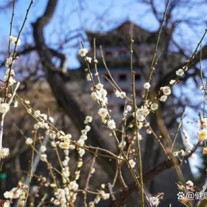 “阳康”后首个过敏季将至，医生：提防诱发气道高敏反应