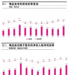 唯品会无奈止步“小而美”