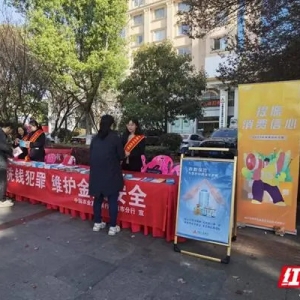 农发行岳阳市分行积极开展“3·15消费者权益日”反洗钱宣传活动 ...