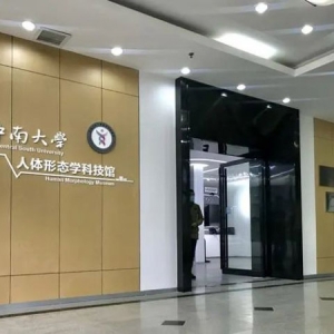 硬核＋新潮，到新区这所科技馆，戴上VR来场人体探秘之旅