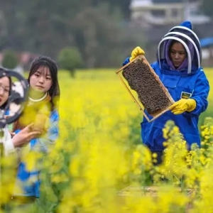 规范直播购物行业乱象，可细化《广告法》规定执行落地