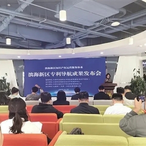 聚焦专利导航 赋能高质量发展——滨海新区专利导航成果发布会成功举行 ...