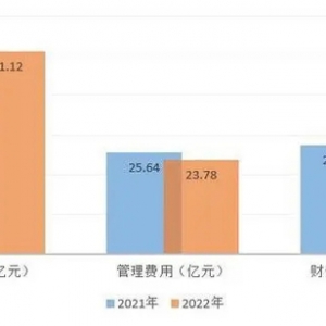 广汇汽车2022年降负债、控成本、防风险 培育“新能源+二手车”第二增长曲线 ...