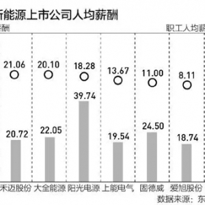 新能源企业人均薪酬高企背后：业绩亮眼“人才荒”？