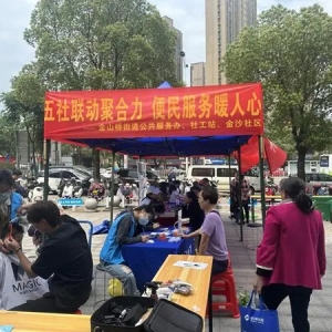 湖南湘江新区金山桥街道：五社联动聚合力，便民服务暖人心 ...