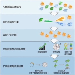 再登Cell：几乎无脱靶！高彩霞团队开发出新型碱基编辑工具