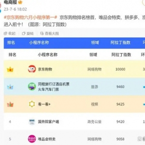 6月网购小程序排名：京东第一，唯品会排名让人直呼没想到