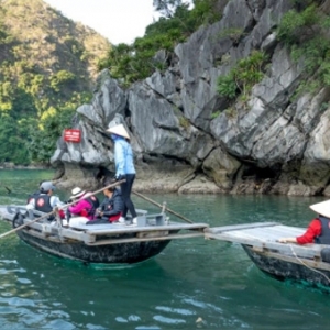 同程旅行：背靠大树，难成大树