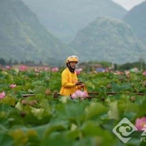 划船、接力跑……云南普者黑外卖骑手的“百变”送餐体验