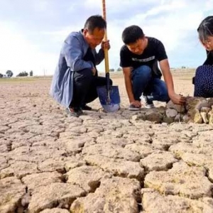 西北旱情仍在持续：甘肃损失超21亿，未来10天无明显降水