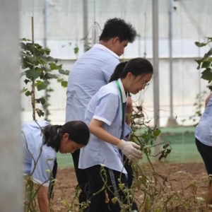 新学期伊始，这所学校用劳动教育让学生体验收获的快乐