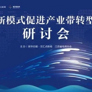 南京信息工程大学丁宏：电商新模式助力需求端拉动供给端，促进特色产业集群高质量发展