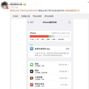 “微信占100G内存”热搜第一！网友：占内存但不敢删