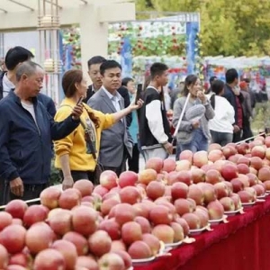 新疆阿拉尔市五团沙河镇第四届苹果文化旅游节开幕