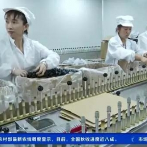 数据亮眼！前三季度我国化妆品及护肤品出口额同比增长超47%