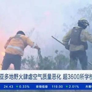 玻利维亚多地野火肆虐空气质量恶化 超3600所学校停课