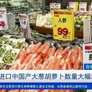 大增超200%！日本进口中国产蔬菜数量暴增，原因几何？