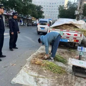 严查无序占道经营 高台城管还道于民