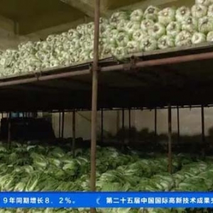 保障市民“菜篮子”！甘肃兰州万吨蔬菜储备入库