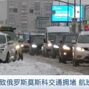 暴风雪席卷欧洲多国，数百万人供电中断！至少13人丧生