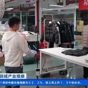 羽绒服迎销售高峰！200多元男款羽绒服卖得好，国潮设计款受青睐