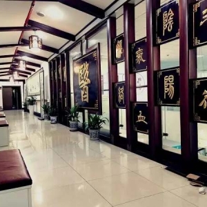 主题教育｜打造引领区中医药发展新高地！浦东新区召开中医药传承创新发展发布会