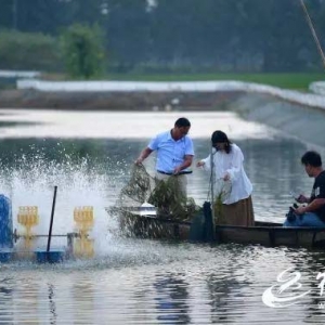 宿迁市湖滨新区：一蟹春晚横 百亿产业兴