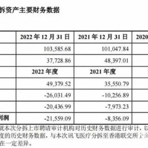 科大讯飞拟分拆讯飞医疗到港交所上市，2022年亏超2亿元