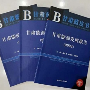 甘肃首部《2024年甘肃蓝皮书·能源蓝皮书》成功出版发布