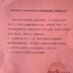 广东一村民小组出台媒人激励办法：给本村男青年介绍成功一对奖1000元