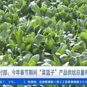 农业农村部：今年春节期间“菜篮子”产品供给总量有保障