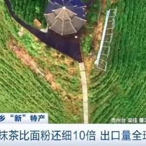 隐藏“新特产”！贵州抹茶出口量全球第三，年产值达3.2亿元