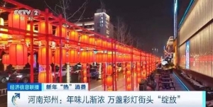 万盏彩灯街头“绽放”！河南超百家景区免门票，游园迎春过大年