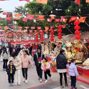 惠州各式“年货一条街”“年货大集”纷纷“龙”重登场