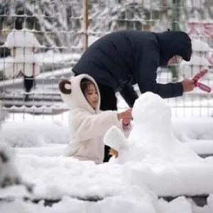 郑州降雪预报图全黑刷屏！气象部门解释来啦