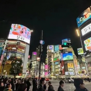 日本看春晚、马代船宿、非洲追“五霸”：年轻人的旅行过年，挺好