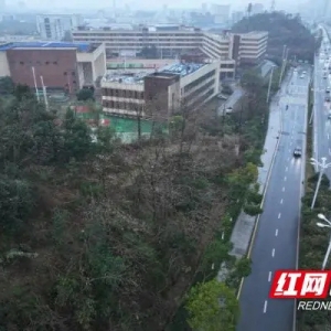 这两天新区来了“千里眼”！专门查冻雨