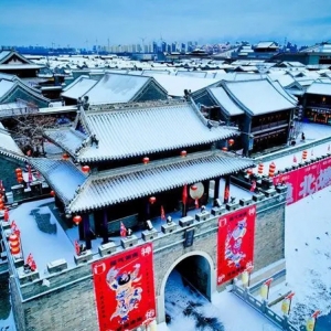 瑞雪兆丰年！滨海新区各部门联动应对龙年首场降雪