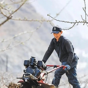 不负农时不负春 陇原大地备耕忙——甘肃省供销系统积极筹备农资保春耕