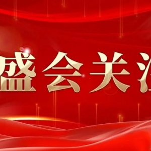 全国人大代表徐云飞：聚焦“智能化 数字化 绿色化” 引领建材行业转型升级