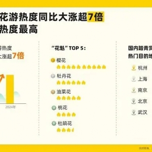 清明假期长线游预订升温 上海出境游预订量同比增长超3倍