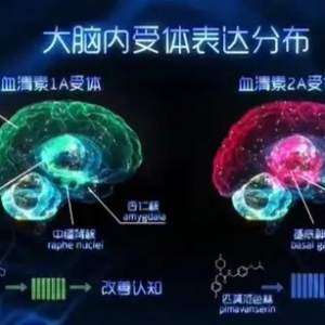 未来好药有望“一把钥匙开几把锁”：《细胞》发表上海科学家多靶点、多功效药物设计新方法