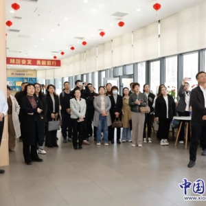 雄安新区召开儿童友好城市建设工作现场推进会