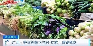 时令野菜火了！专家提醒：慎碰慎吃，不建议这类人食用→