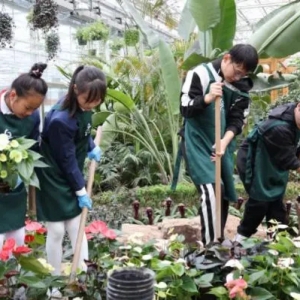 亲手种一片毕业花田 上海首家大中小学劳动教育一体化实践基地落户鲜花港