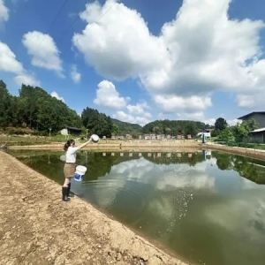 “提质”又“增颜” 遂宁计划今年打造107个宜居宜业和美乡村