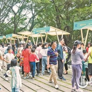 端午假期，清源山旅游接待游客量同比增长203.7%