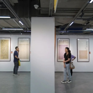 以展促学，推陈出新！浦东新区第二届青年书法篆刻作品展举行