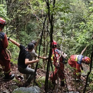 一家三口杭州山中迷路一夜，天蒙蒙亮想找路下山，台风来了