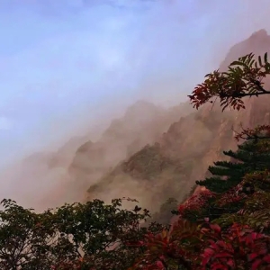 10月6日，黃山風景區(qū)接待游客2.3萬余人